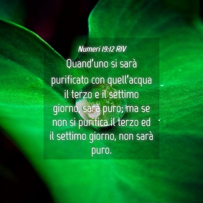 Picture 04 - Numeri 19:12 RIV - Quand’uno si sarà purificato con quell’acqua - Bible Verse Picture