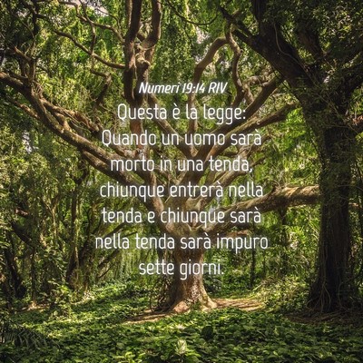 Picture 04 - Numeri 19:14 RIV - Questa è la legge: Quando un uomo sarà morto in - Bible Verse Picture