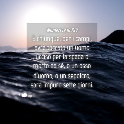 Picture 04 - Numeri 19:16 RIV - E chiunque, per i campi, avrà toccato un uomo - Bible Verse Picture
