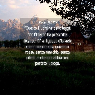 Picture 04 - Numeri 19:2 RIV - “Questo è l’ordine della legge che - Bible Verse Picture