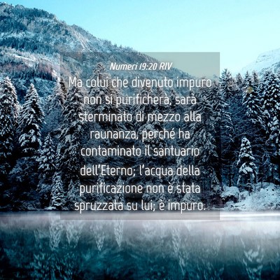 Picture 04 - Numeri 19:20 RIV - Ma colui che divenuto impuro non si purificherà, - Bible Verse Picture