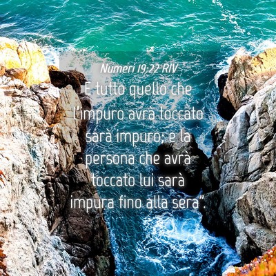 Picture 04 - Numeri 19:22 RIV - E tutto quello che l’impuro avrà toccato sarà - Bible Verse Picture