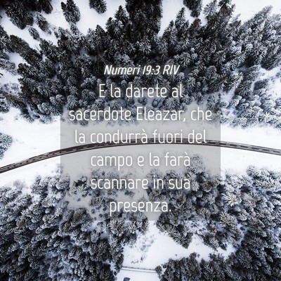 Picture 04 - Numeri 19:3 RIV - E la darete al sacerdote Eleazar, che la - Bible Verse Picture