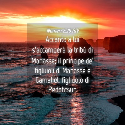 Picture 04 - Numeri 2:20 RIV - Accanto a lui s’accamperà la tribù di - Bible Verse Picture