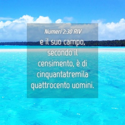 Picture 04 - Numeri 2:30 RIV - e il suo campo, secondo il censimento, è di - Bible Verse Picture