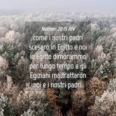 Picture 04 - Numeri 20:15 RIV - come i nostri padri scesero in Egitto e noi in - Bible Verse Picture