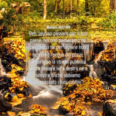 Picture 04 - Numeri 20:17 RIV - Deh, lasciaci passare per il tuo paese, noi non - Bible Verse Picture