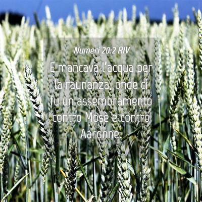 Picture 04 - Numeri 20:2 RIV - E mancava l’acqua per la raunanza; onde ci fu - Bible Verse Picture