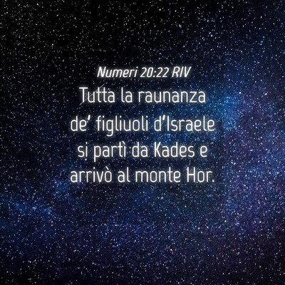 Picture 04 - Numeri 20:22 RIV - Tutta la raunanza de’ figliuoli d’Israele si - Bible Verse Picture