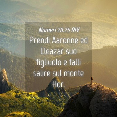Picture 04 - Numeri 20:25 RIV - Prendi Aaronne ed Eleazar suo figliuolo e falli - Bible Verse Picture