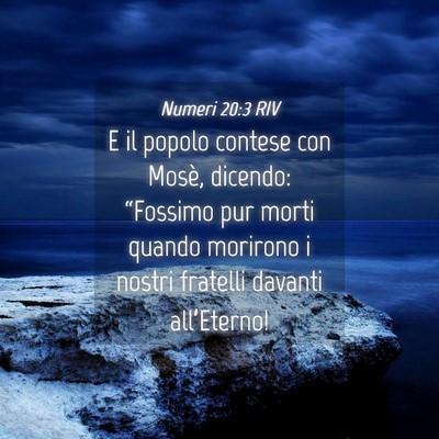 Picture 04 - Numeri 20:3 RIV - E il popolo contese con Mosè, dicendo: - Bible Verse Picture