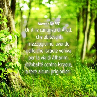 Picture 04 - Numeri 21:1 RIV - Or il re cananeo di Arad, che abitava il - Bible Verse Picture