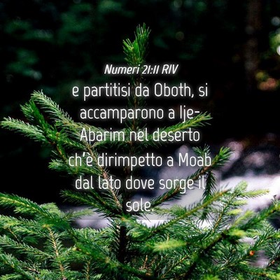 Picture 04 - Numeri 21:11 RIV - e partitisi da Oboth, si accamparono a Ije-Abarim - Bible Verse Picture
