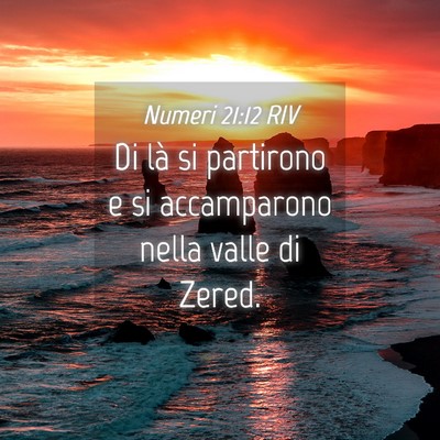 Picture 04 - Numeri 21:12 RIV - Di là si partirono e si accamparono nella valle - Bible Verse Picture