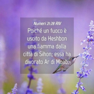 Picture 04 - Numeri 21:28 RIV - Poiché un fuoco è uscito da Heshbon una fiamma - Bible Verse Picture