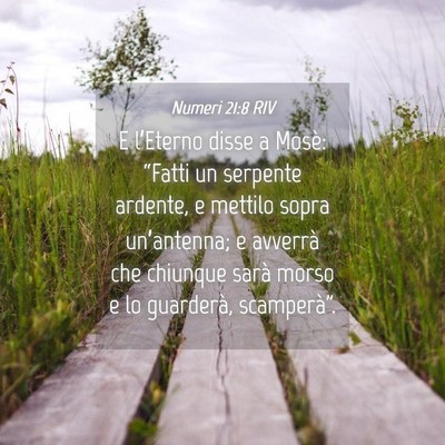 Picture 04 - Numeri 21:8 RIV - E l’Eterno disse a Mosè: “Fatti un serpente - Bible Verse Picture