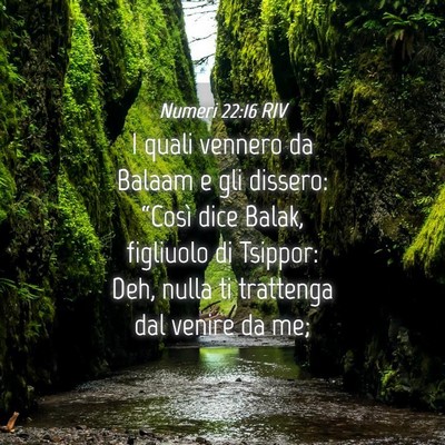Picture 04 - Numeri 22:16 RIV - I quali vennero da Balaam e gli dissero: “Così - Bible Verse Picture