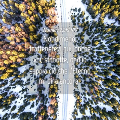 Picture 04 - Numeri 22:19 RIV - Nondimeno, trattenetevi qui, anche voi, stanotte, - Bible Verse Picture