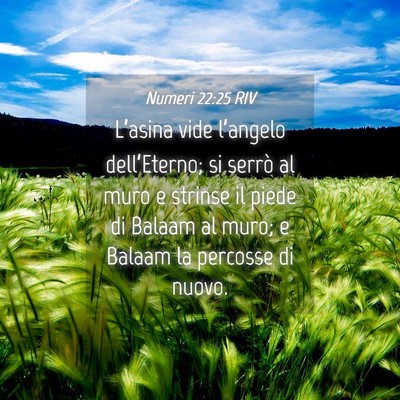 Picture 04 - Numeri 22:25 RIV - L’asina vide l’angelo dell’Eterno; si - Bible Verse Picture