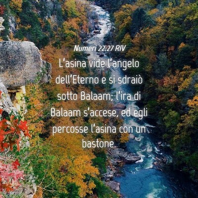 Picture 04 - Numeri 22:27 RIV - L’asina vide l’angelo dell’Eterno e si - Bible Verse Picture