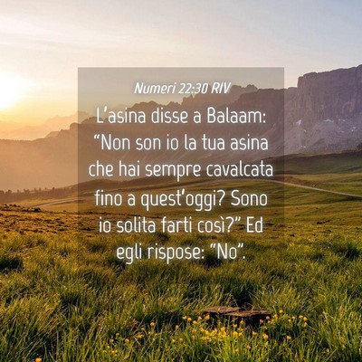 Picture 04 - Numeri 22:30 RIV - L’asina disse a Balaam: “Non son io la tua - Bible Verse Picture