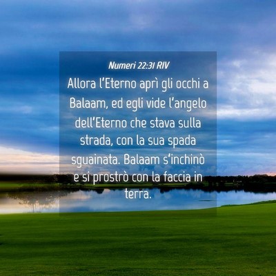 Picture 04 - Numeri 22:31 RIV - Allora l’Eterno aprì gli occhi a Balaam, ed - Bible Verse Picture