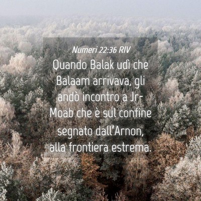 Picture 04 - Numeri 22:36 RIV - Quando Balak udì che Balaam arrivava, gli andò - Bible Verse Picture