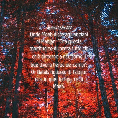 Picture 04 - Numeri 22:4 RIV - Onde Moab disse agli anziani di Madian: “Ora - Bible Verse Picture