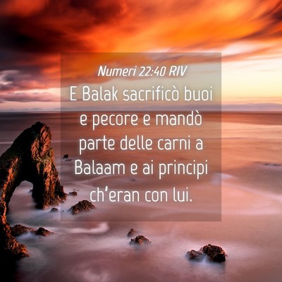 Picture 04 - Numeri 22:40 RIV - E Balak sacrificò buoi e pecore e mandò parte - Bible Verse Picture