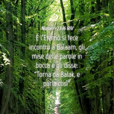 Picture 04 - Numeri 23:16 RIV - E l’Eterno si fece incontro a Balaam, gli mise - Bible Verse Picture