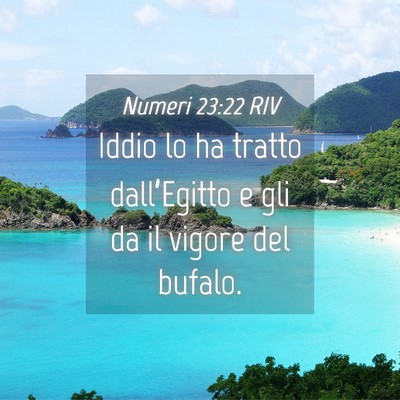 Picture 04 - Numeri 23:22 RIV - Iddio lo ha tratto dall’Egitto e gli da il - Bible Verse Picture
