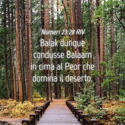 Picture 04 - Numeri 23:28 RIV - Balak dunque condusse Balaam in cima al Peor che - Bible Verse Picture