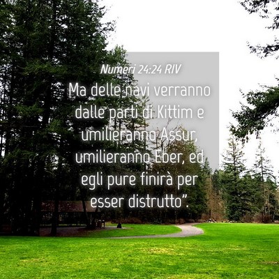Picture 04 - Numeri 24:24 RIV - Ma delle navi verranno dalle parti di Kittim e - Bible Verse Picture