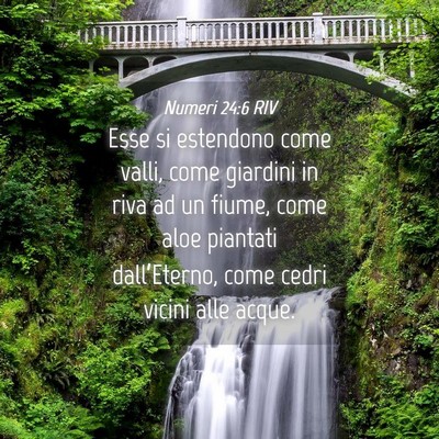 Picture 04 - Numeri 24:6 RIV - Esse si estendono come valli, come giardini in - Bible Verse Picture