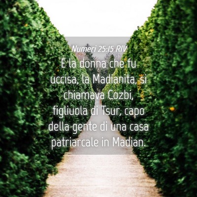 Picture 04 - Numeri 25:15 RIV - E la donna che fu uccisa, la Madianita, si - Bible Verse Picture