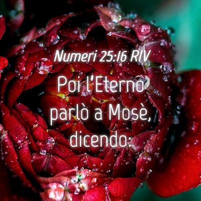 Picture 04 - Numeri 25:16 RIV - Poi l’Eterno parlò a Mosè, - Bible Verse Picture