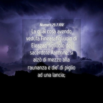 Picture 04 - Numeri 25:7 RIV - La qual cosa avendo veduta Fineas, figliuolo di - Bible Verse Picture