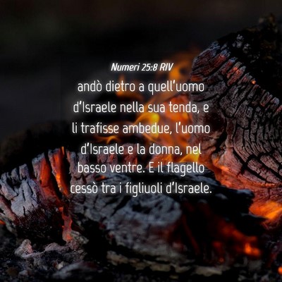 Picture 04 - Numeri 25:8 RIV - andò dietro a quell’uomo d’Israele nella sua - Bible Verse Picture