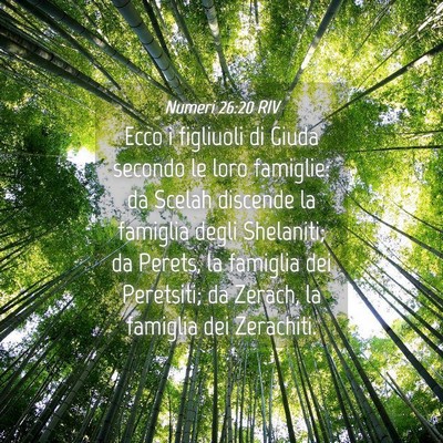 Picture 04 - Numeri 26:20 RIV - Ecco i figliuoli di Giuda secondo le loro - Bible Verse Picture