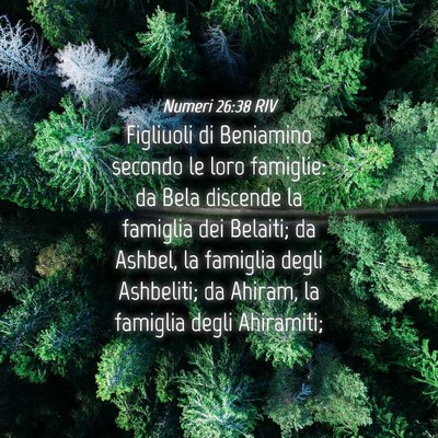 Picture 04 - Numeri 26:38 RIV - Figliuoli di Beniamino secondo le loro famiglie: - Bible Verse Picture