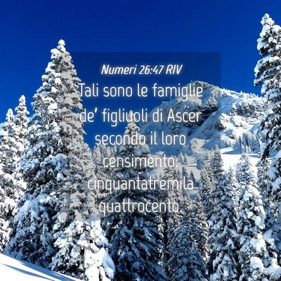 Picture 04 - Numeri 26:47 RIV - Tali sono le famiglie de’ figliuoli di Ascer - Bible Verse Picture