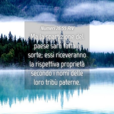 Picture 04 - Numeri 26:55 RIV - Ma la spartizione del paese sarà fatta a sorte; - Bible Verse Picture