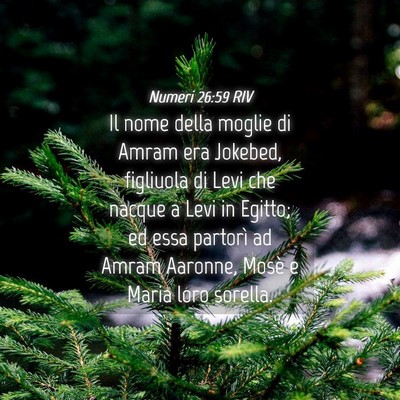 Picture 04 - Numeri 26:59 RIV - Il nome della moglie di Amram era Jokebed, - Bible Verse Picture