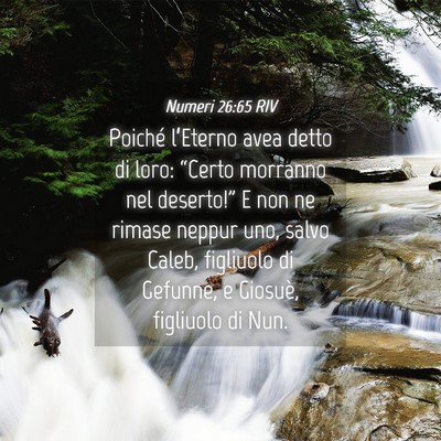 Picture 04 - Numeri 26:65 RIV - Poiché l’Eterno avea detto di loro: “Certo - Bible Verse Picture