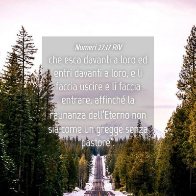 Picture 04 - Numeri 27:17 RIV - che esca davanti a loro ed entri davanti a loro, - Bible Verse Picture
