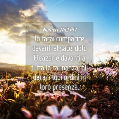 Picture 04 - Numeri 27:19 RIV - lo farai comparire davanti al sacerdote Eleazar e - Bible Verse Picture