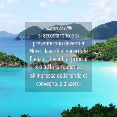 Picture 04 - Numeri 27:2 RIV - si accostarono e si presentarono davanti a Mosè, - Bible Verse Picture