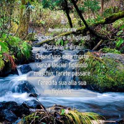 Picture 04 - Numeri 27:8 RIV - Parlerai pure ai figliuoli d’Israele, e dirai: - Bible Verse Picture