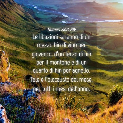 Picture 04 - Numeri 28:14 RIV - Le libazioni saranno di un mezzo hin di vino per - Bible Verse Picture