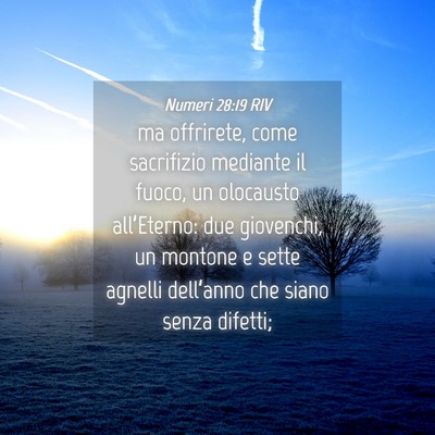 Picture 04 - Numeri 28:19 RIV - ma offrirete, come sacrifizio mediante il fuoco, - Bible Verse Picture